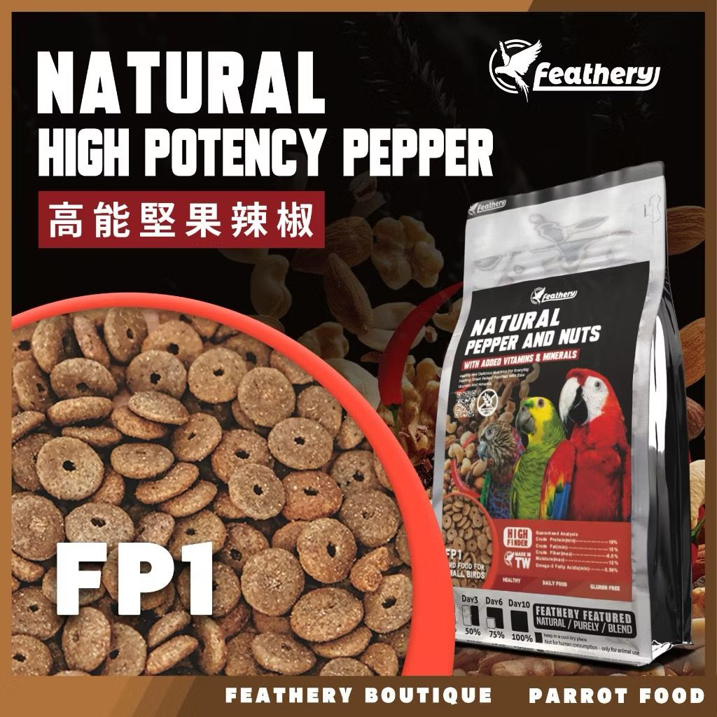 IMG_2050-1740237173538