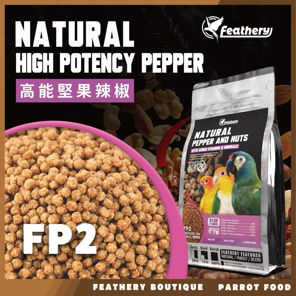 IMG_2051-1740237173545