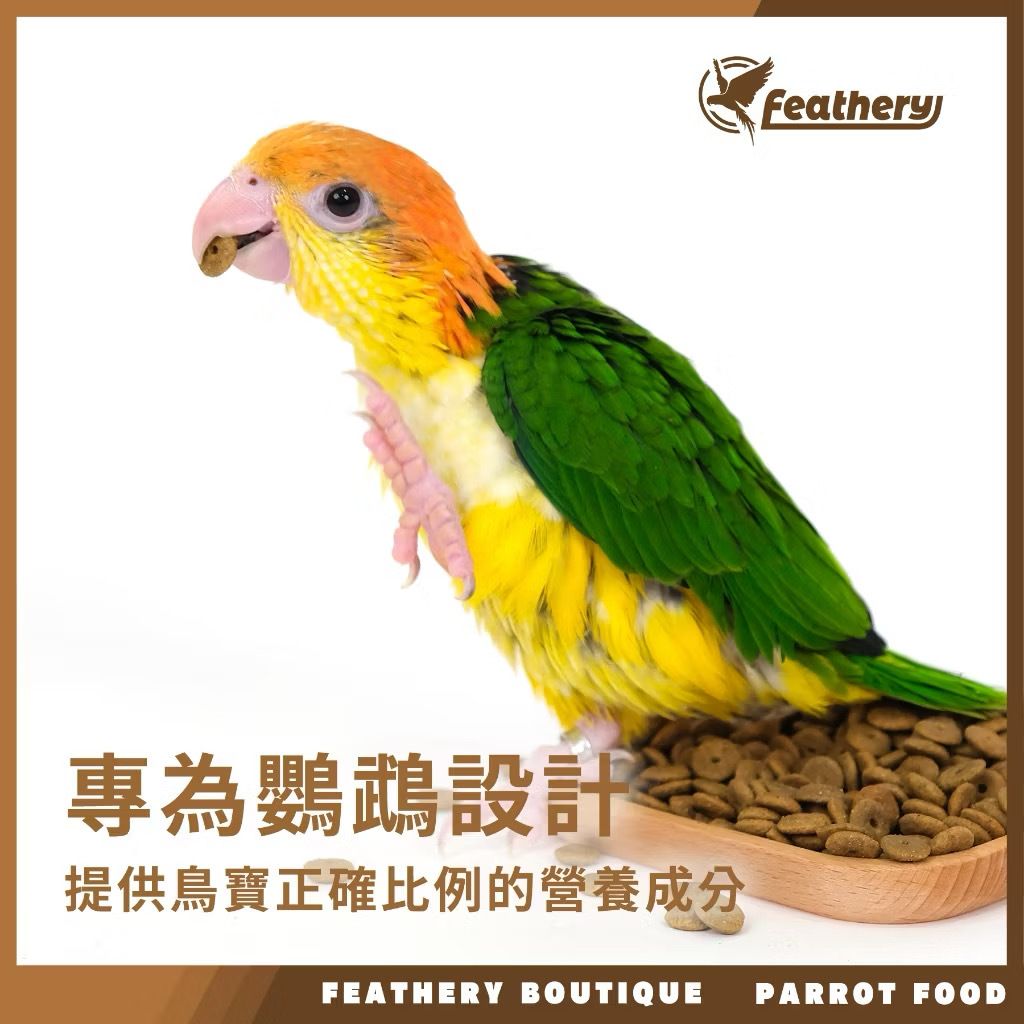 IMG_2052-1740237173551