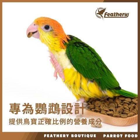 IMG_2052-1740237173551