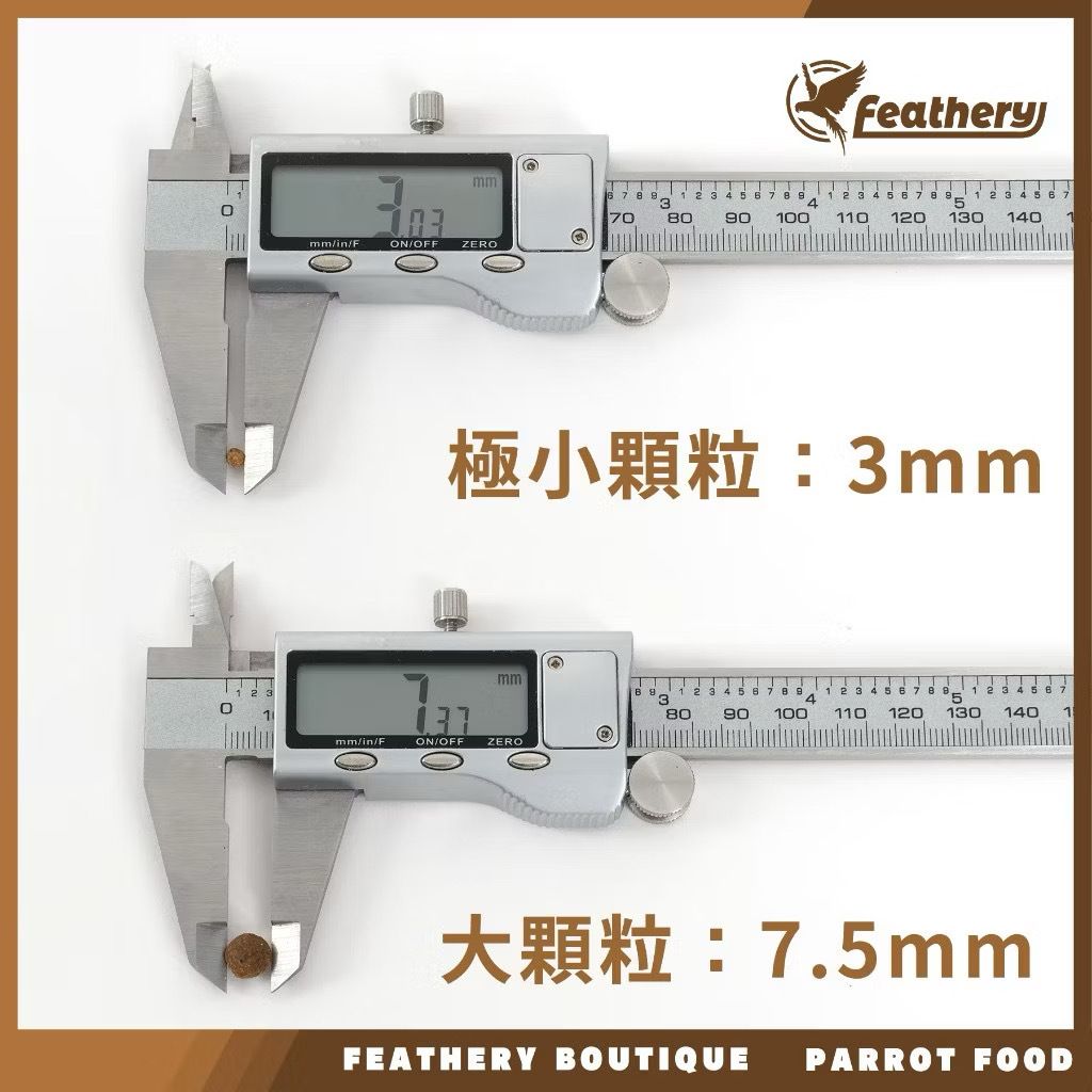 IMG_2053-1740237173557