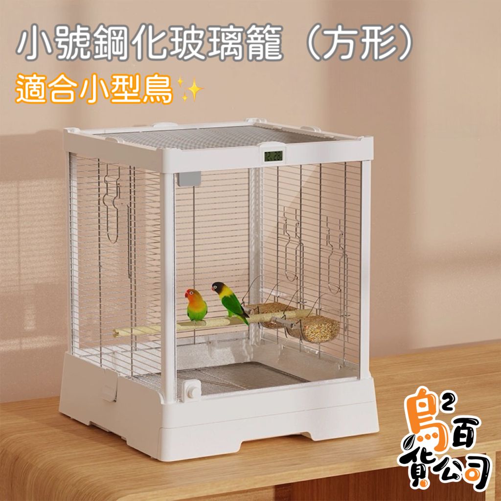 IMG_2385-1740724874438