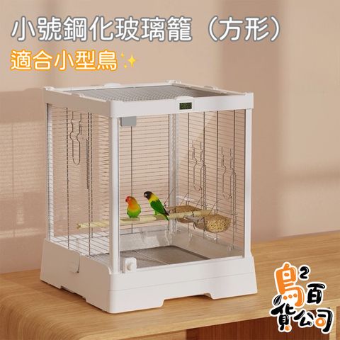 IMG_2385-1740724874438