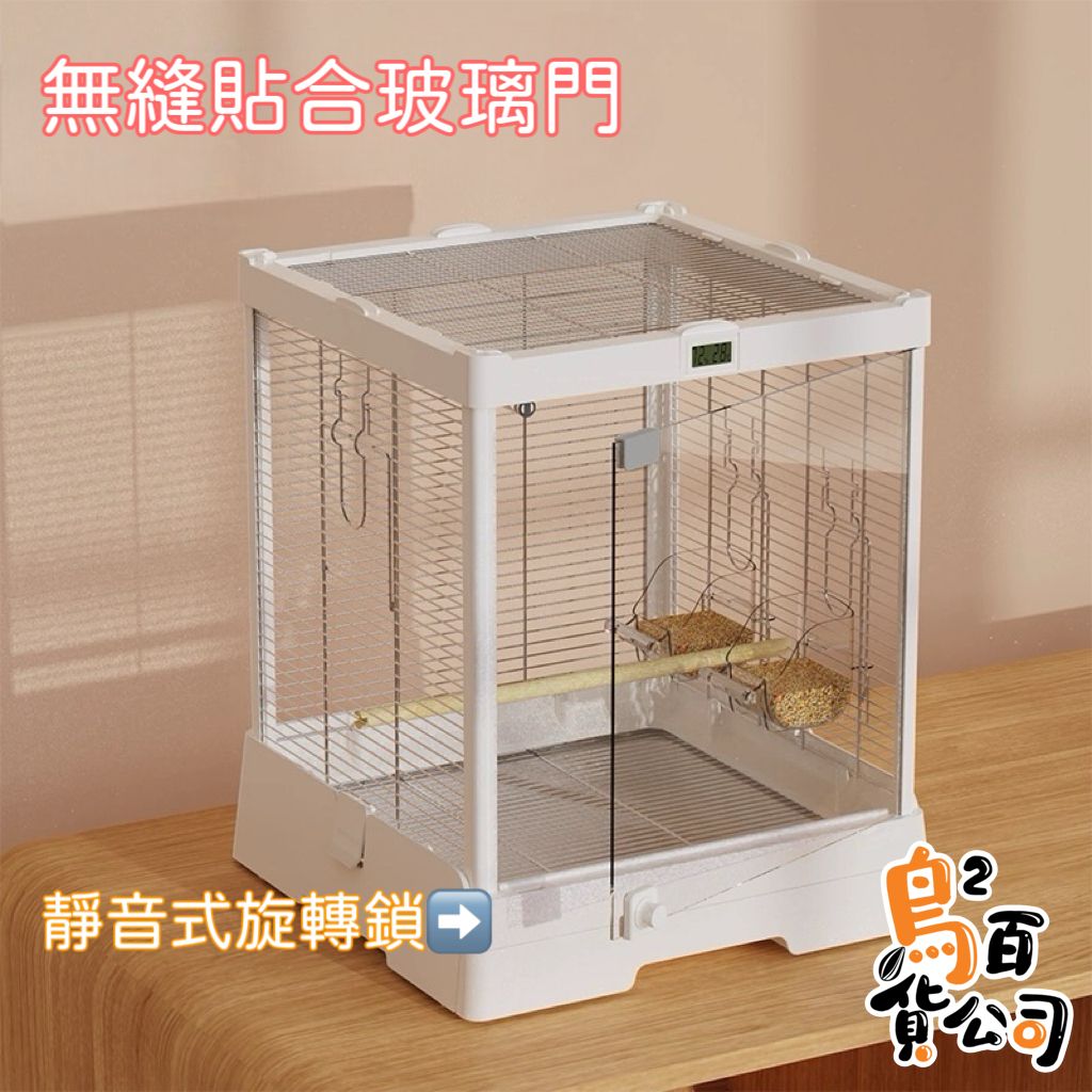 IMG_2384-1740724874441