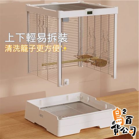 IMG_2383-1740724874444