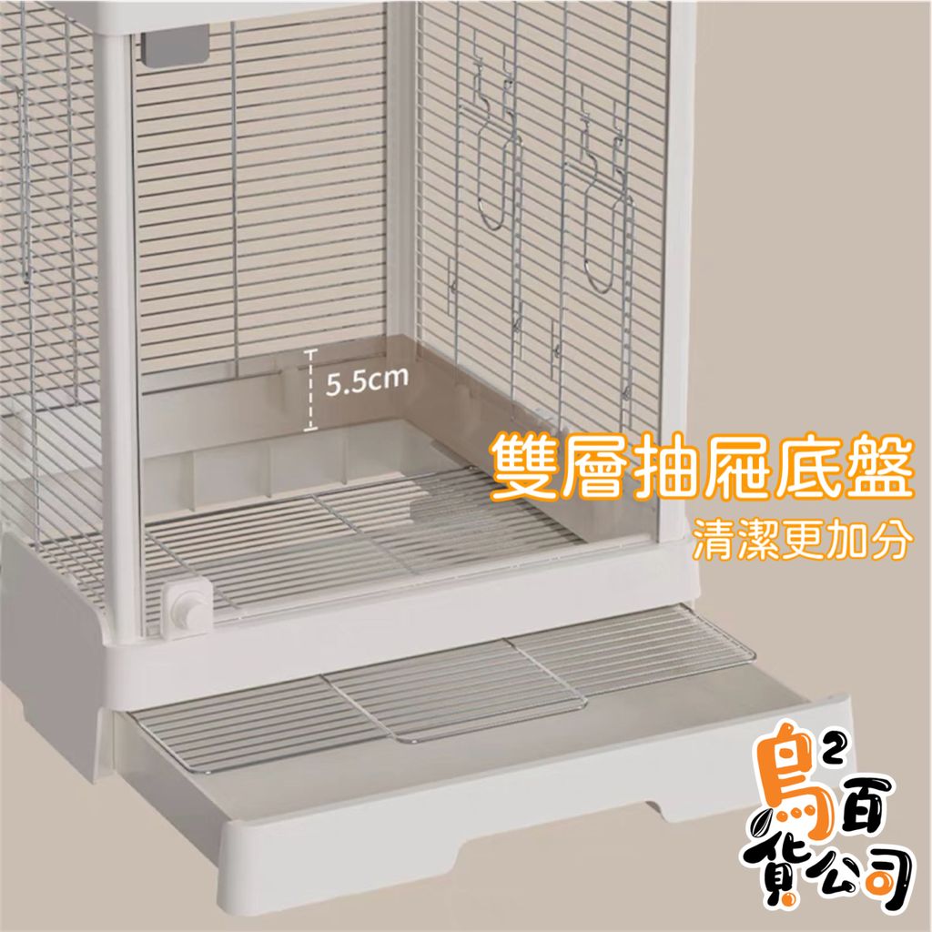 IMG_2381-1740724874458