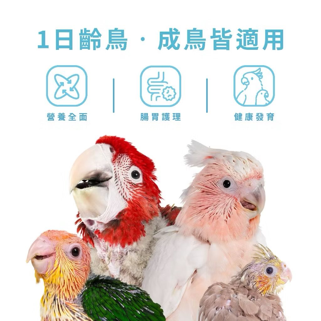 IMG_2504-1740875549495