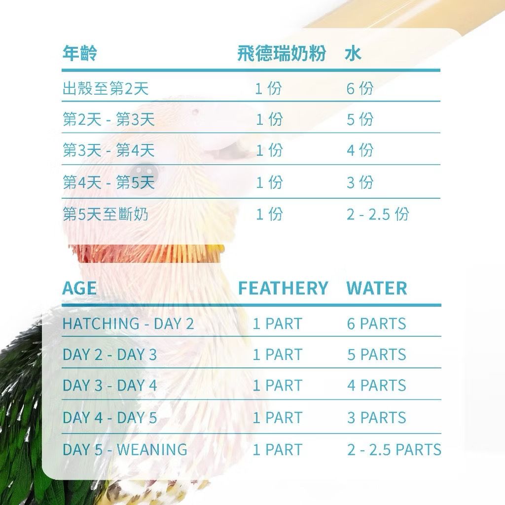 IMG_2507-1740875549520