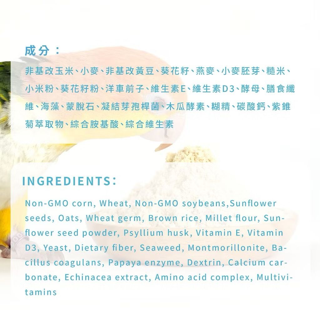 IMG_2508-1740875549527