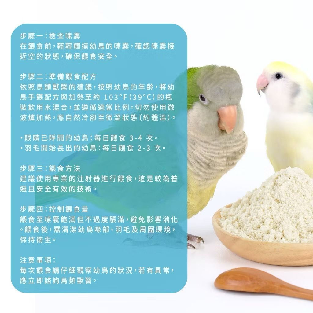 IMG_2509-1740875549534