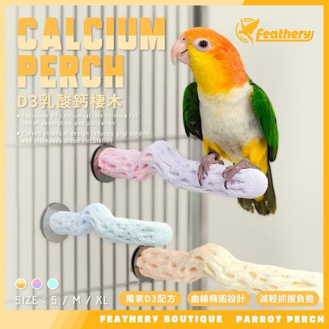 IMG_2495-1740877744853