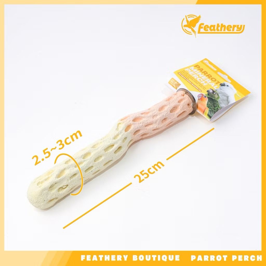 IMG_2501-1740877744890