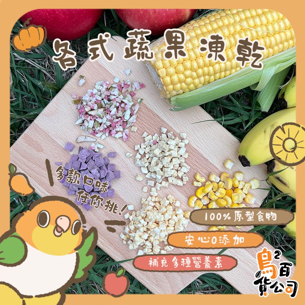 IMG_3863-1743267275589