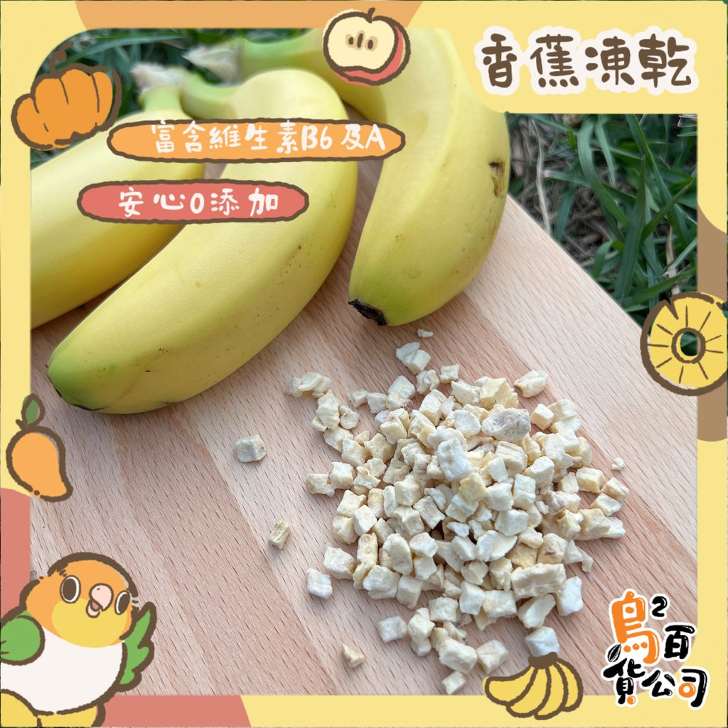 IMG_2682-1741266506127