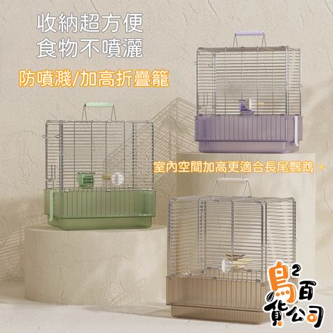 IMG_3313-1742456856402