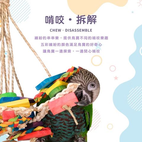 IMG_3323-1742458182518