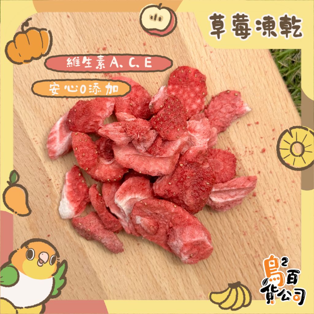 IMG_4063-1743367338413