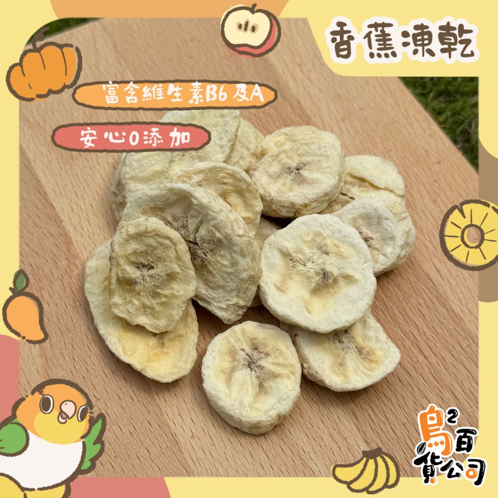 IMG_4064-1743367338799