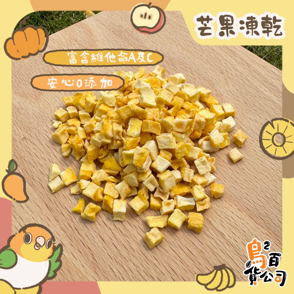 IMG_4066-1743367339399