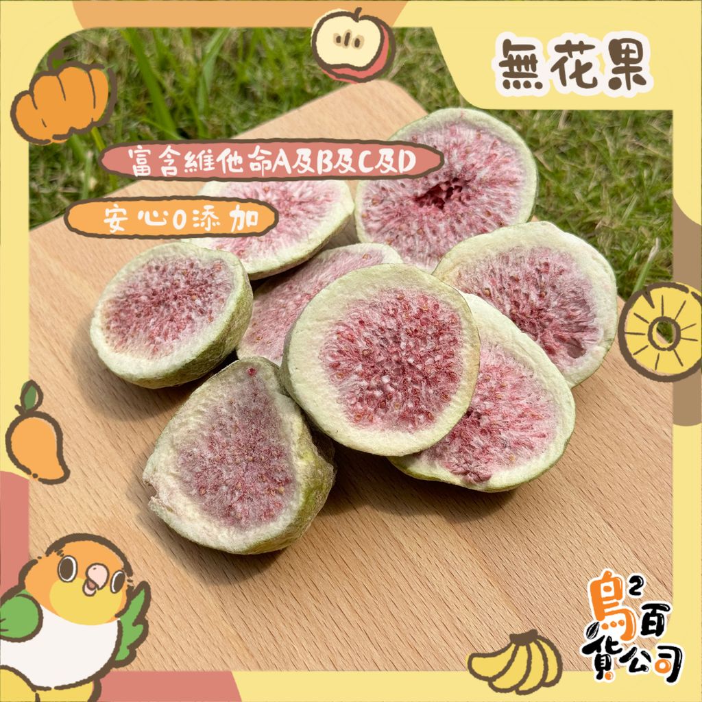 IMG_4067-1743367339700