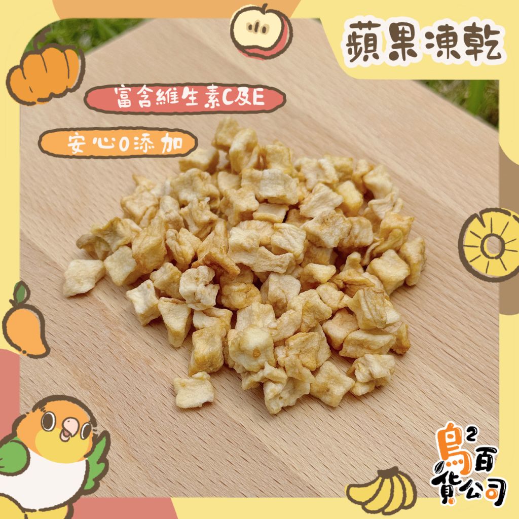 IMG_4070-1743367695480