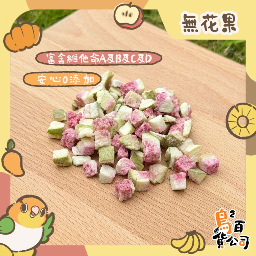 IMG_4216-1743648782208