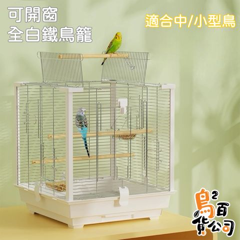 IMG_0928-1744568618547