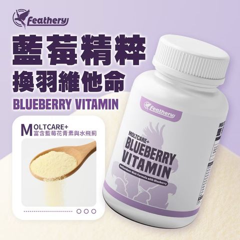 image_349E9765-67A8-4980-B39C-ED6BD43A09A6_1748609893