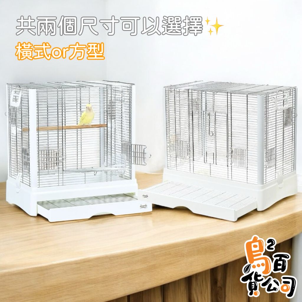 image_86BDFE78-2315-4A99-B028-9A67CDCEFE61_1749623925