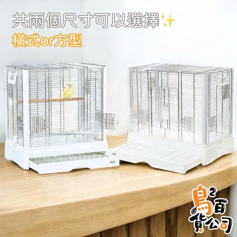 image_86BDFE78-2315-4A99-B028-9A67CDCEFE61_1749623925