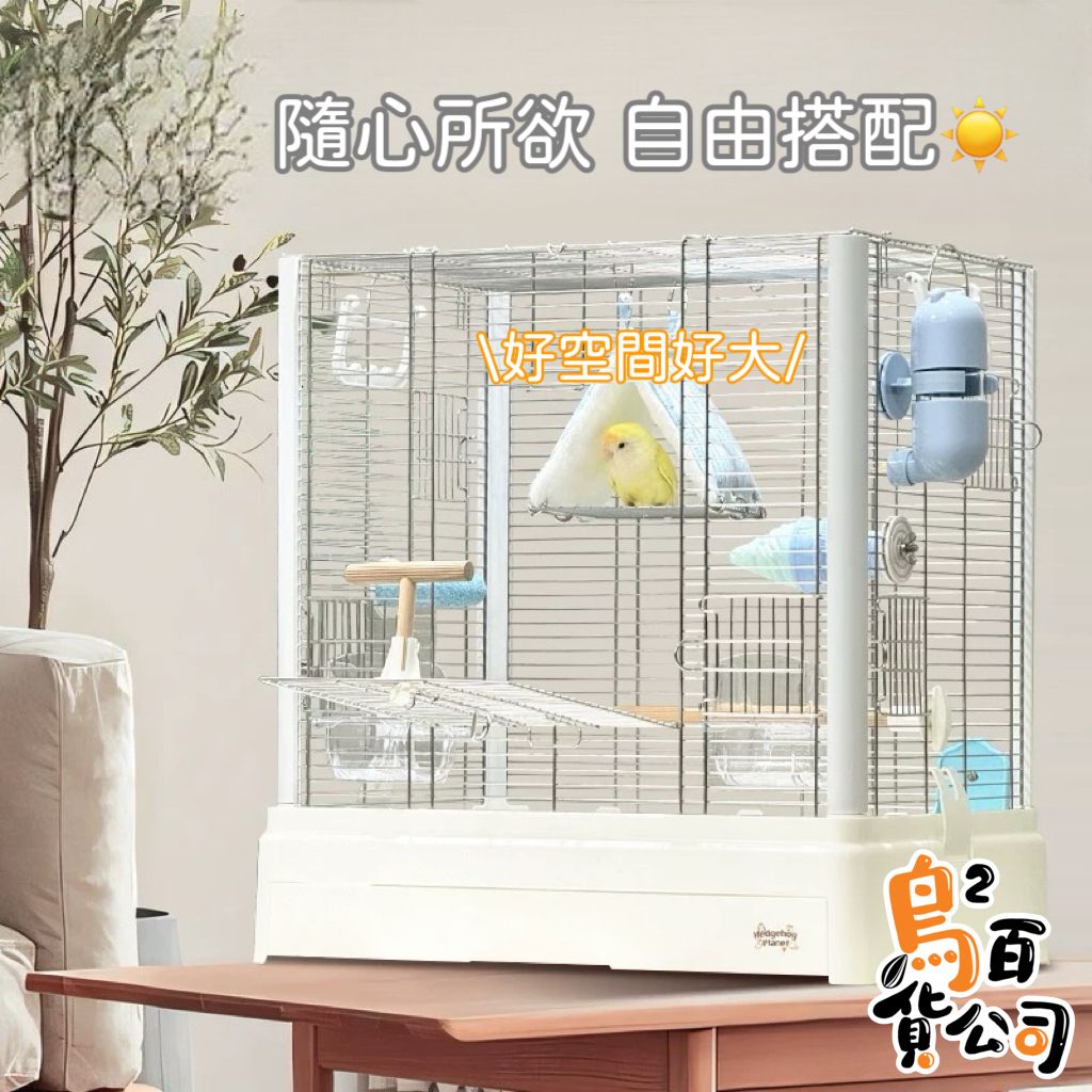 image_47A6F97F-3422-4453-90B0-17758657BE82_1749623925