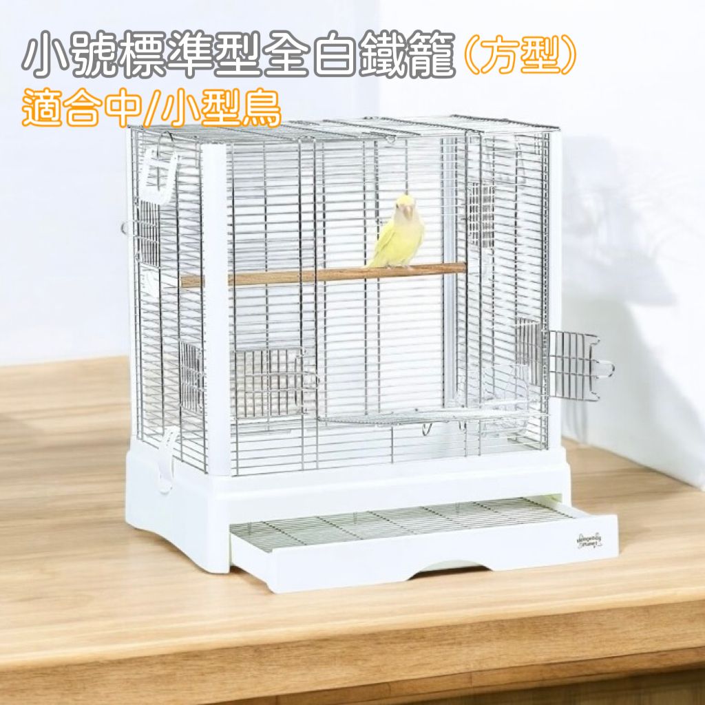 image_DF63BDB6-8242-49CE-81DE-2124A39D2146_1749623925