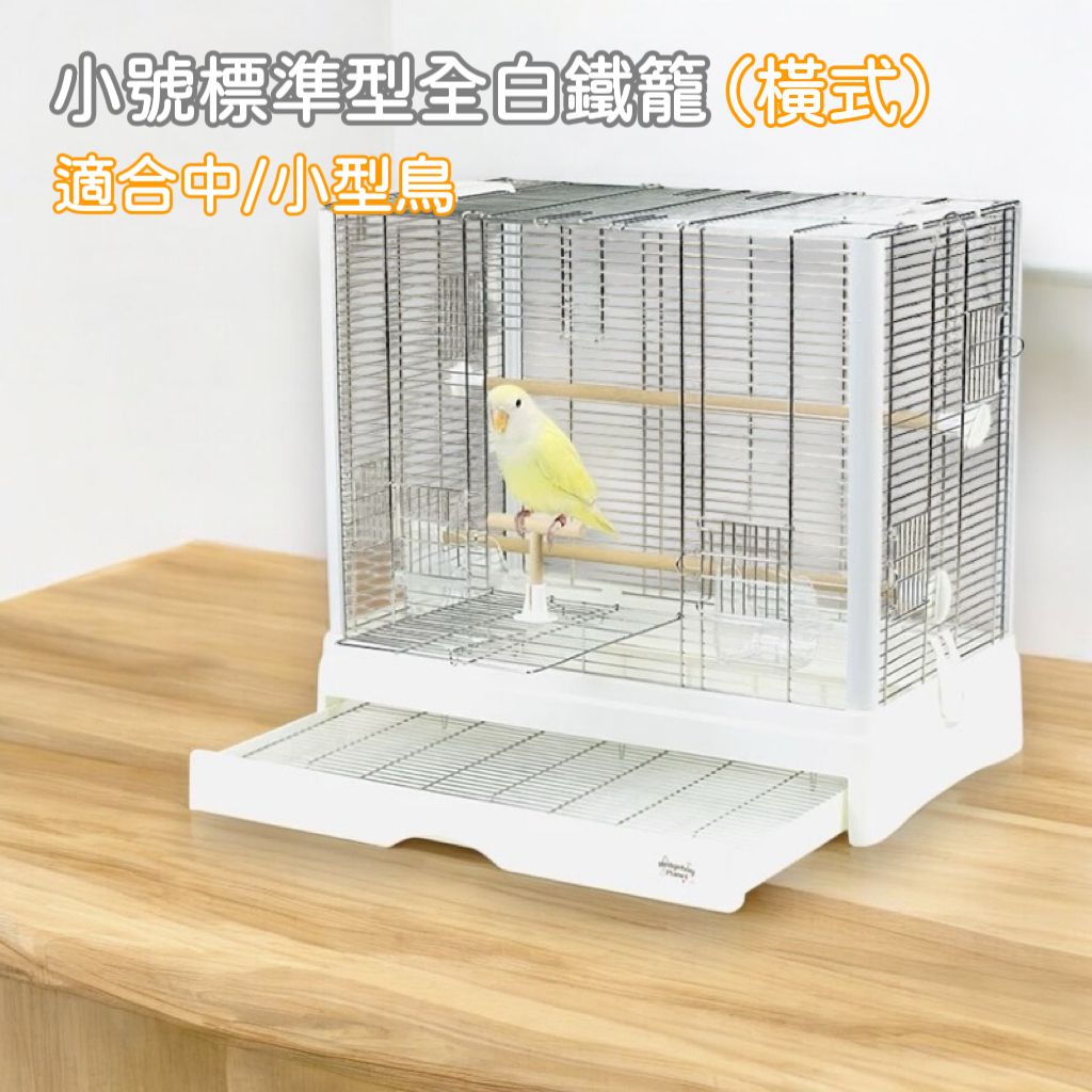 image_DD661FC3-F13A-49D1-A36F-57499A60F29C_1749623925