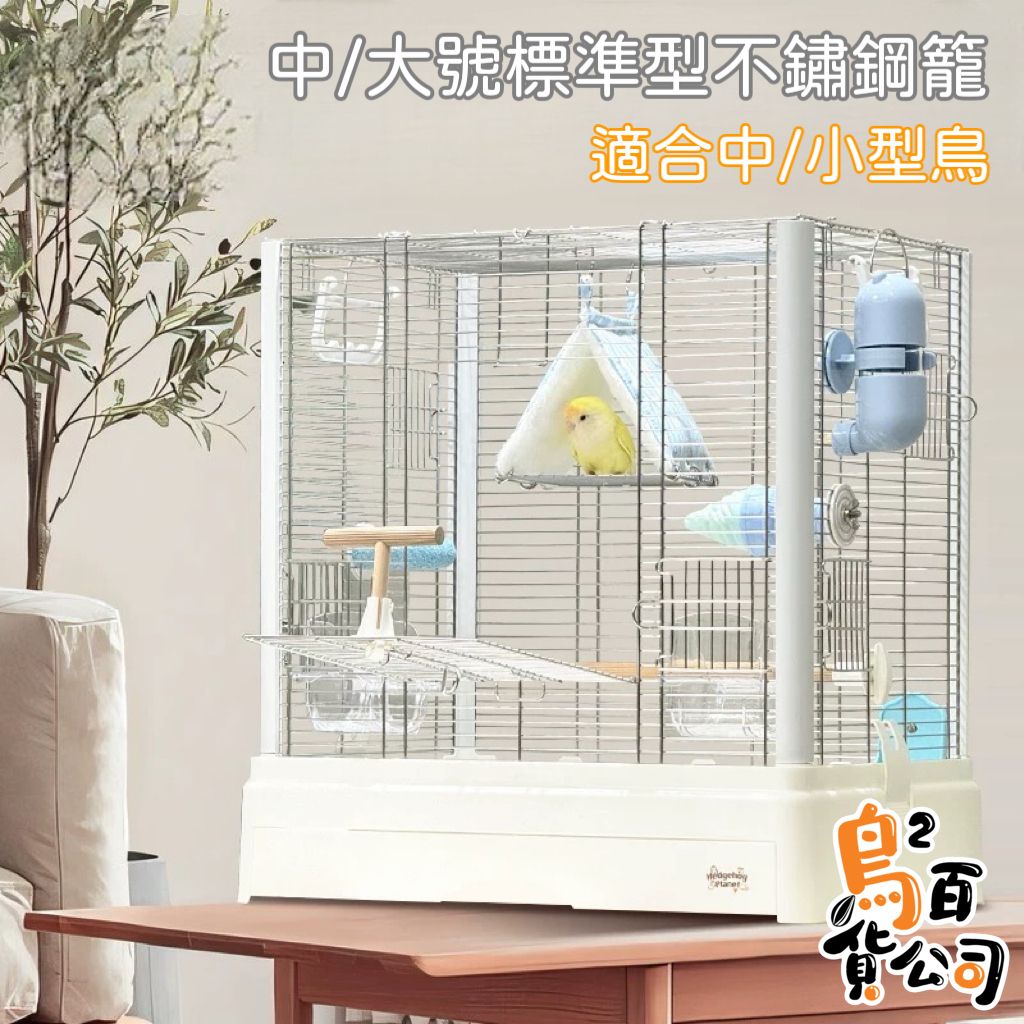 image_8F3C38E4-4ACB-4DE7-B5FF-FBC4E494731F_1749986067