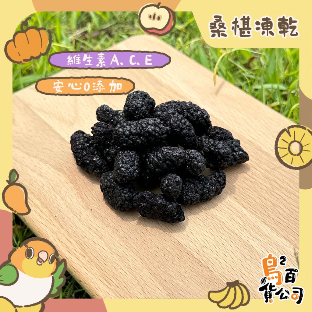 image_D6A1FF24-2B57-4243-AD1F-89BA9B61C714_1751089028