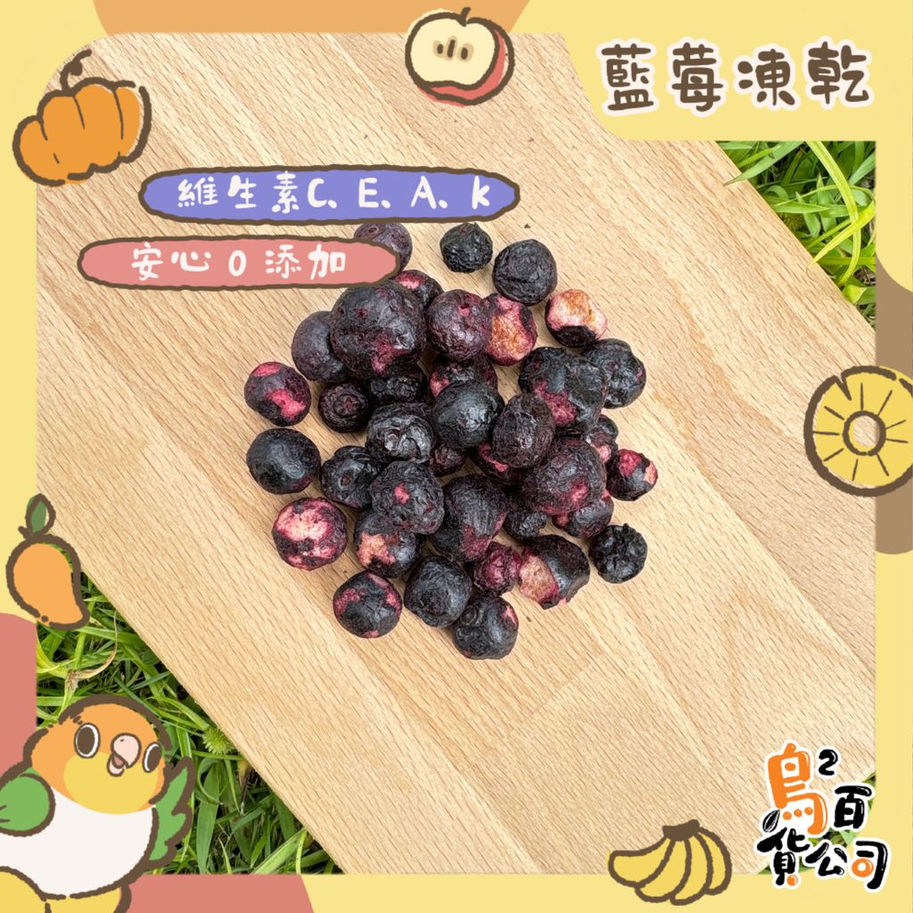 image_F01E6D39-D2F2-4756-8592-46BAF2D1191C_1751089123