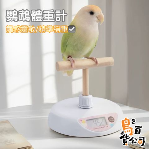 image_82EC0D43-34E4-4556-89D8-7D9707261680_1751534772