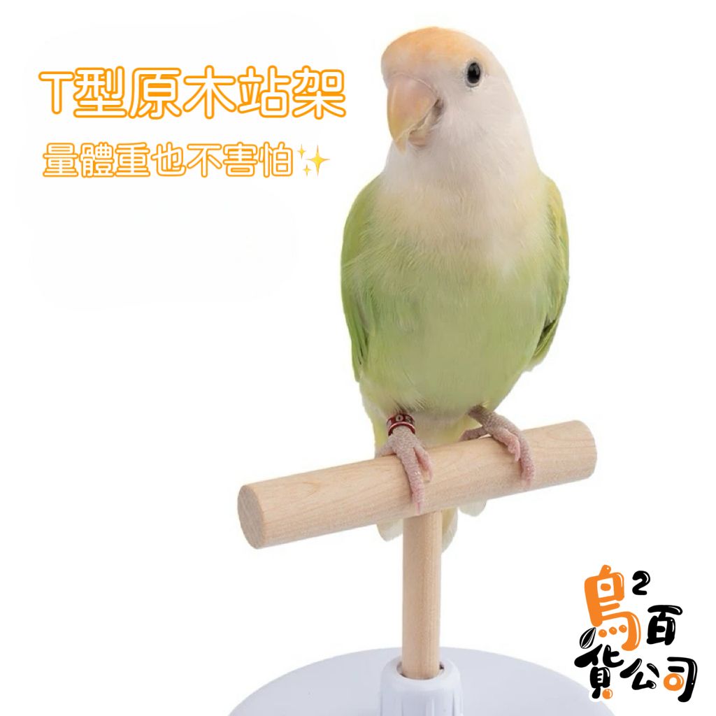 image_4E39410B-5C1E-48E5-B403-1DD82D78767B_1751534772