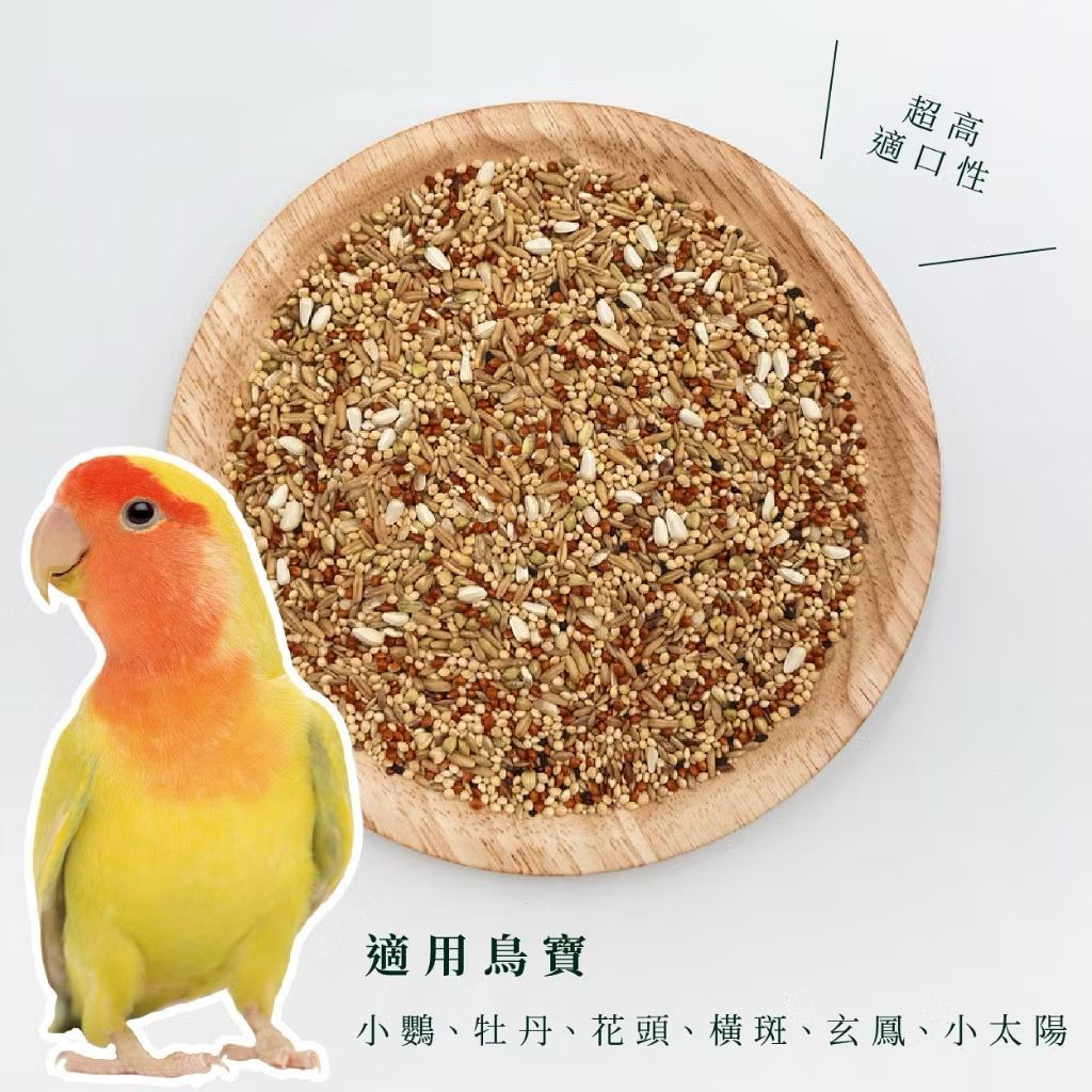 image_8E43D905-D6E3-4DD6-9A6B-CF66FBE8C69B_1753633242