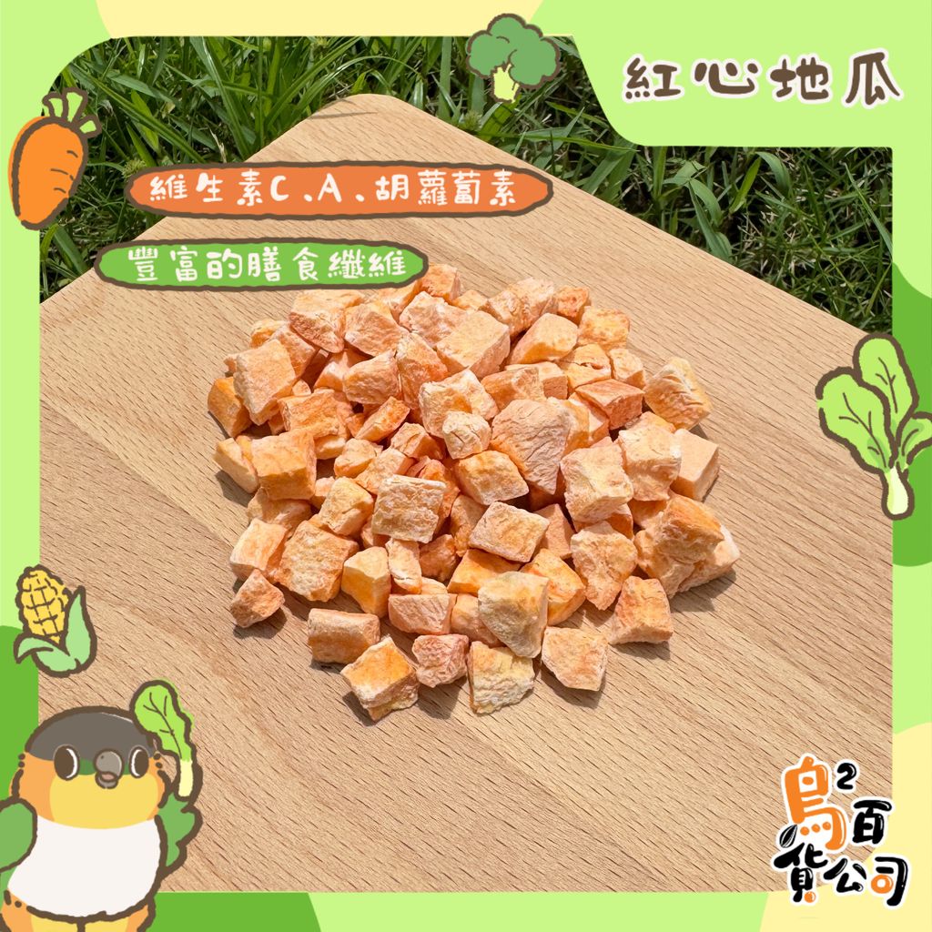 image_944CA9B1-1823-4132-8D6E-BD6D4C890170_1754372824