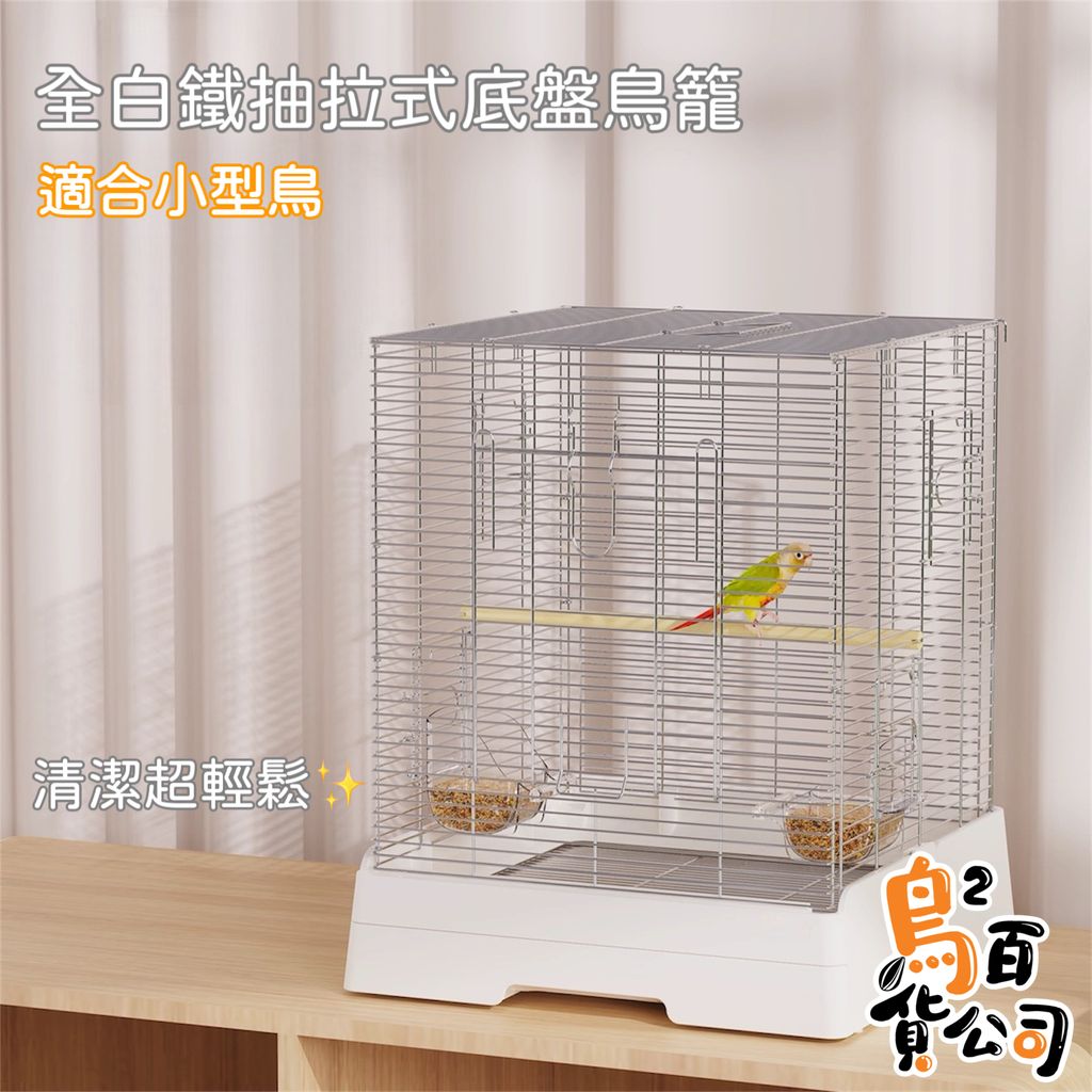 image_F7DBAB13-2209-42EF-9C6E-36BE7514D318_1755082559