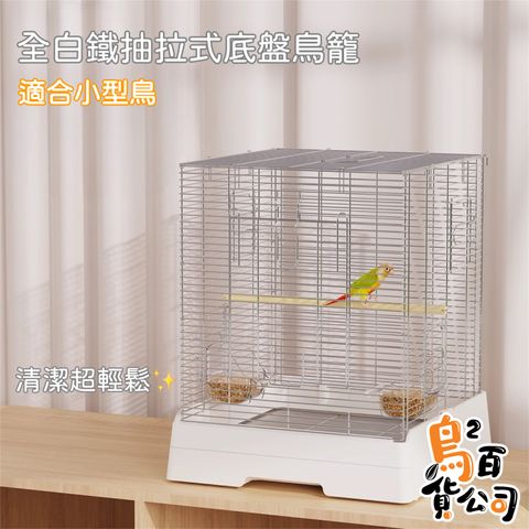 image_F7DBAB13-2209-42EF-9C6E-36BE7514D318_1755082559