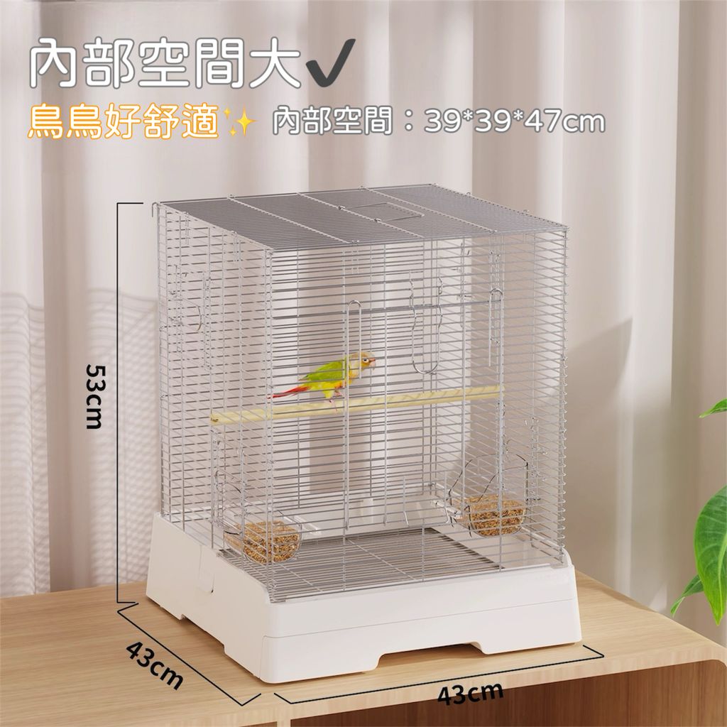 image_9A902FC6-2706-4A8D-8339-B12EEF5FBBF7_1755082559