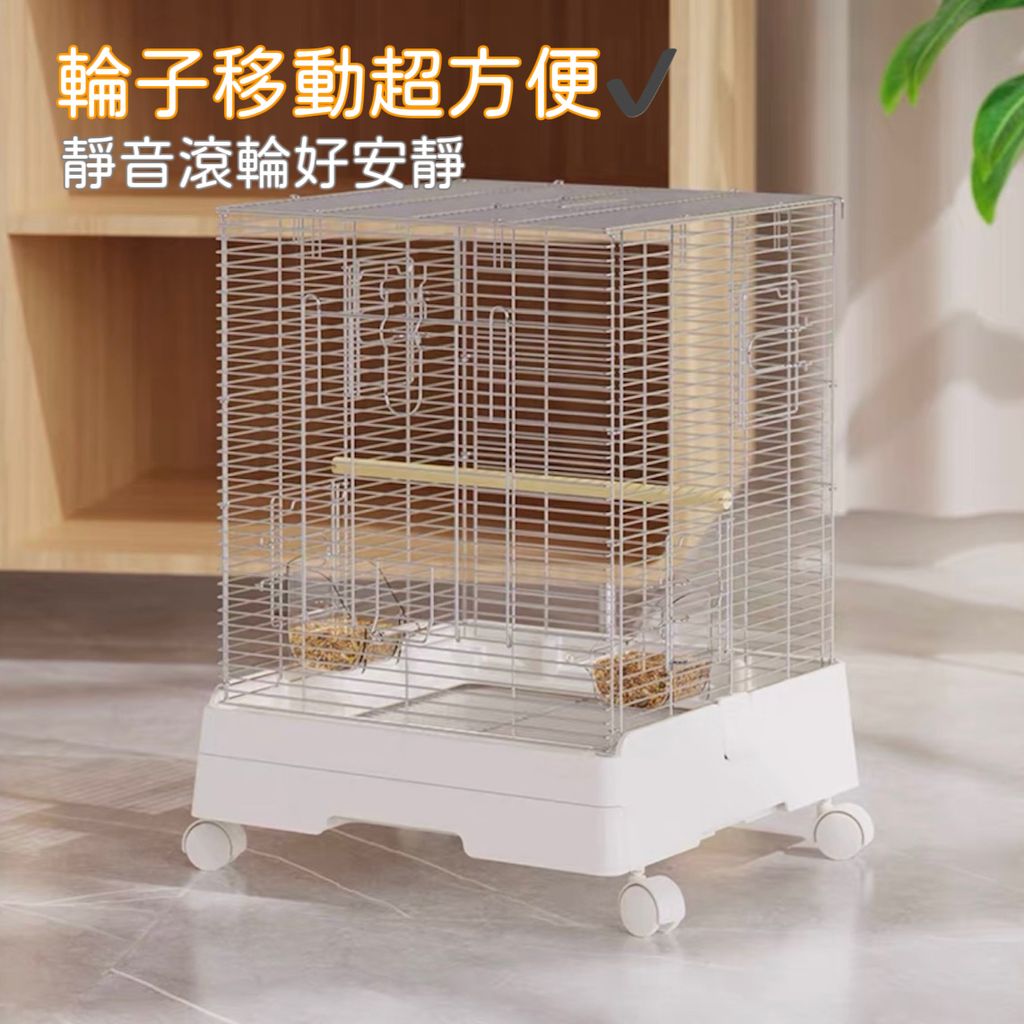 image_8D4D487B-5FA8-4EC9-9B78-BDA6016554CE_1755082559