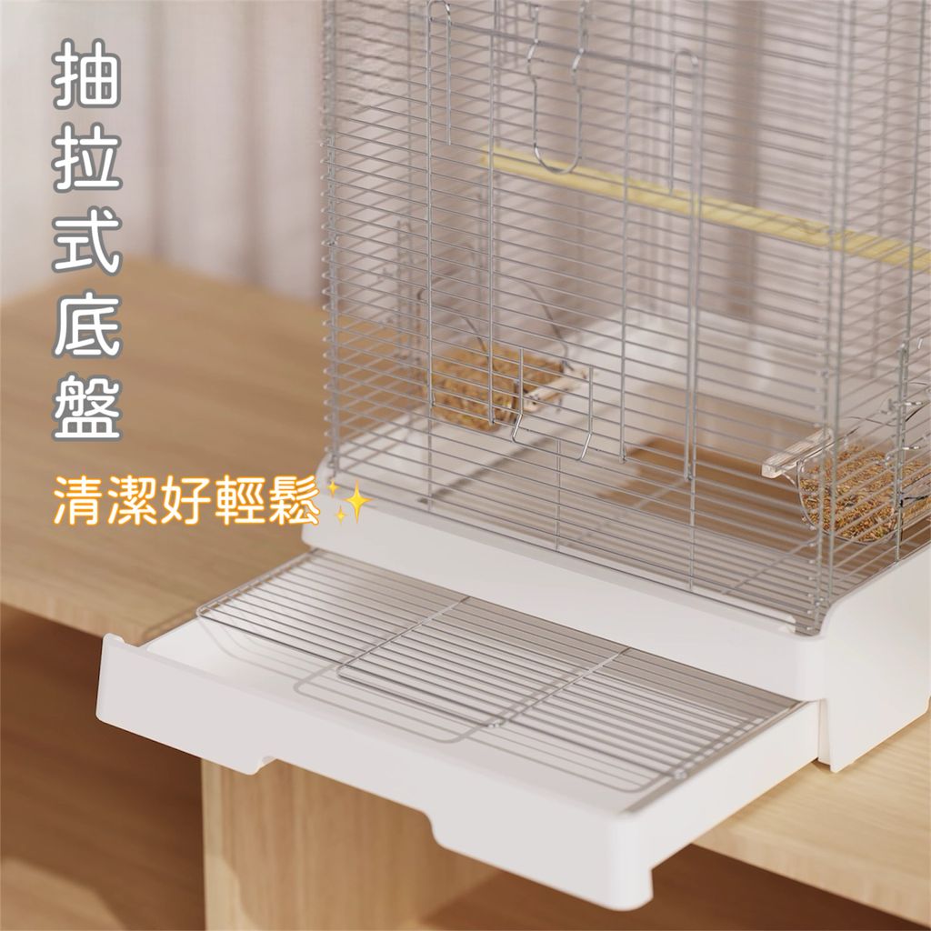 image_14E3A79D-AAF2-4300-B0D5-7D6BFAD61F2A_1755082559