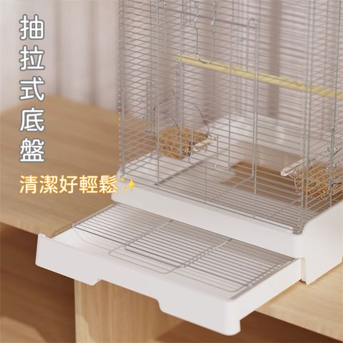 image_14E3A79D-AAF2-4300-B0D5-7D6BFAD61F2A_1755082559