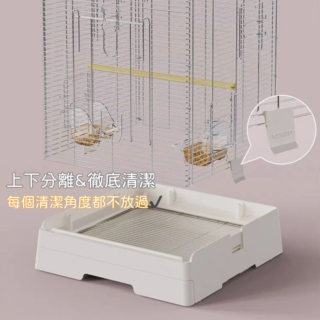 image_E79E7D37-F359-4F34-9D13-34DC682E1A04_1755082559