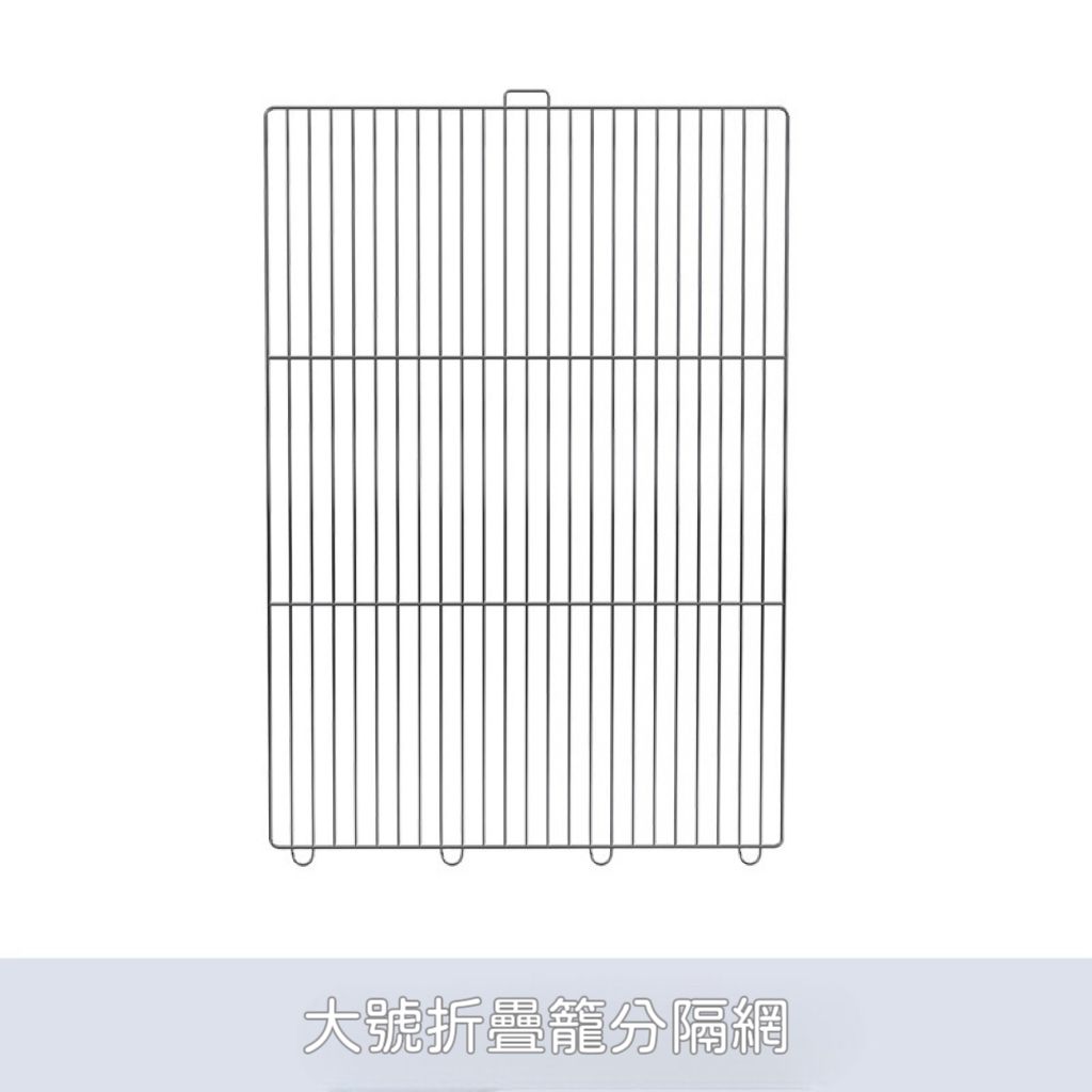 image_806C90D8-78D7-4656-A6B7-09A614A0B327_1762333892