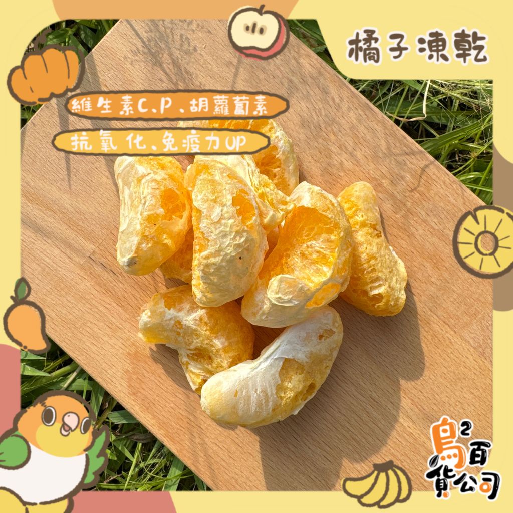 image_B734A312-EC8E-41A5-940E-FA040443D2D7_1762683350