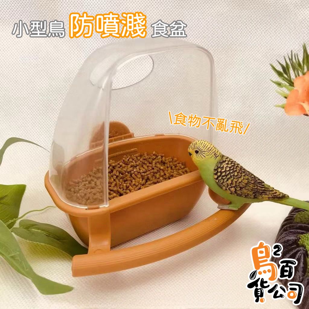 image_C9964587-7BFE-4049-8ABF-FE3A94083ADB_1762775855